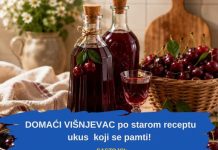 DOMAĆI VIŠNJEVAC PO STAROM RECEPTU