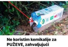 Ne koristim kemikalije za PUŽEVE, zahvaljujući susjedovim savjetima imam čist cijeli vrt