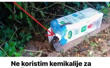 Ne koristim kemikalije za PUŽEVE, zahvaljujući susjedovim savjetima imam čist cijeli vrt