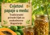 Cvjetovi papaje u medu: Tradicionalni prirodni lijek za svakodnevno blagostanje