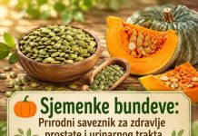 Sjemenke bundeve: Prirodni saveznik za zdravlje prostate i urinarnog trakta