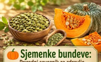 Sjemenke bundeve: Prirodni saveznik za zdravlje prostate i urinarnog trakta