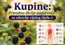 Kupine: Prirodno divlje supervoće za svakodnevno blagostanje