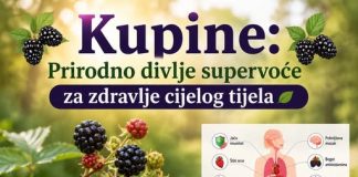 Kupine: Prirodno divlje supervoće za svakodnevno blagostanje