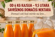 Od 6 kg kajsija – 9,5 litara savršenog domaćeg nektara domaći sok koji miriše na leto…