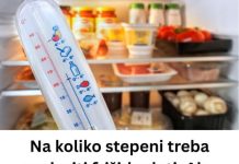 Na koliko stepeni treba podesiti frižider leti: Ako pređete OVAJ broj, hrana će vam propasti za dan