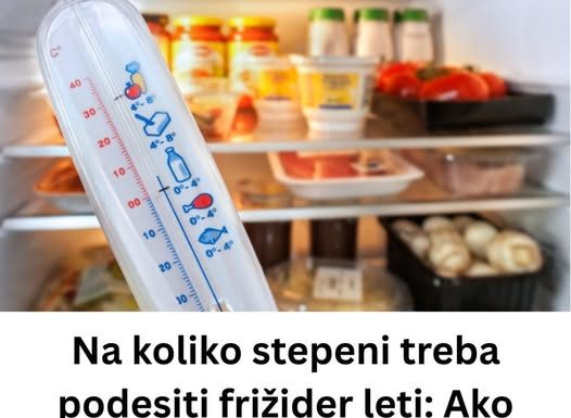 Na koliko stepeni treba podesiti frižider leti: Ako pređete OVAJ broj, hrana će vam propasti za dan