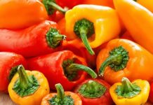 Ne bacajte nikad peteljke od paprika, kad čujete čemu služe čuvaćete ih kao da su od zlata!