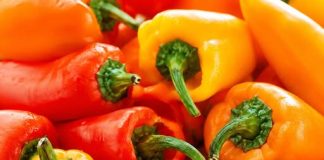 Ne bacajte nikad peteljke od paprika, kad čujete čemu služe čuvaćete ih kao da su od zlata!
