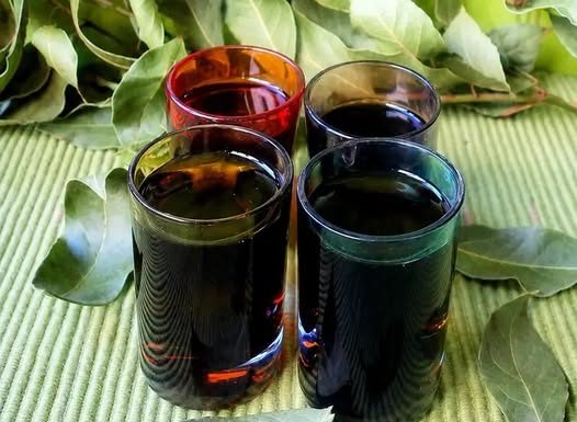 AKO IMATE PARAZITE U TIJELU: Riješite ih se uz pomoć pelina, klinčića i crnog oraha