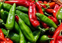 Izdržite nekoliko minuta: Ljuta paprika je lijek za mnoge bolesti!