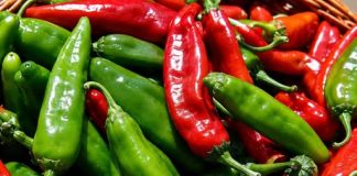 Izdržite nekoliko minuta: Ljuta paprika je lijek za mnoge bolesti!