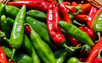 Izdržite nekoliko minuta: Ljuta paprika je lijek za mnoge bolesti!