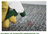 NAJBOLJE DOMAĆE SREDSTVO ZA TEPIHE: Kada vidite kako ovo djeluje više nikada nećete nositi tepih na pranje