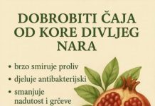DOBROBITI ČAJA OD KORE DIVLJEG NARA