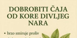 DOBROBITI ČAJA OD KORE DIVLJEG NARA
