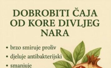 DOBROBITI ČAJA OD KORE DIVLJEG NARA