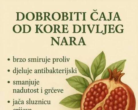 DOBROBITI ČAJA OD KORE DIVLJEG NARA