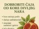 DOBROBITI ČAJA OD KORE DIVLJEG NARA