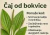 ČAJ OD BOKVICE.. MNOGOBROJNE KORISTI OVE BILJKE