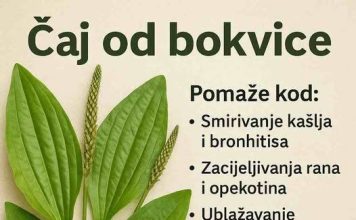 ČAJ OD BOKVICE.. MNOGOBROJNE KORISTI OVE BILJKE