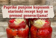 Paprike punjene kupusom – starinski recept koji se prenosi generacijama!