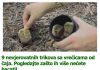 9 nevjerovatnih trikova sa vrećicama od čaja. Pogledajte zašto ih više nećete bacati!