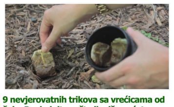 9 nevjerovatnih trikova sa vrećicama od čaja. Pogledajte zašto ih više nećete bacati!