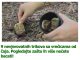 9 nevjerovatnih trikova sa vrećicama od čaja. Pogledajte zašto ih više nećete bacati!