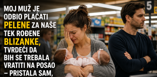 Moj muž je odbio plaćati pelene za naše tek rođene blizance, tvrdeći da bih se trebala vratiti na posao – pristala sam, ali pod jednim uslovom.