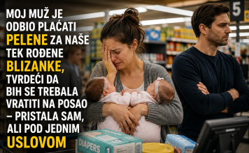 Moj muž je odbio plaćati pelene za naše tek rođene blizance, tvrdeći da bih se trebala vratiti na posao – pristala sam, ali pod jednim uslovom.