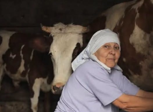 Stana je prodala jedinu kravu i dala komšiji pare da studira: Smatrali je ludom u selu, Milan je nije obilazio, nakon 10 godina usledio zapanjujući obrt