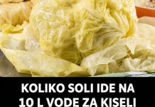 KOLIKO SOLI IDE NA 10 L VODE ZA KISELI KUPUS: Ovo Je Idealna Količina – Super Savjet Za Početnike