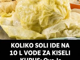 KOLIKO SOLI IDE NA 10 L VODE ZA KISELI KUPUS: Ovo Je Idealna Količina – Super Savjet Za Početnike