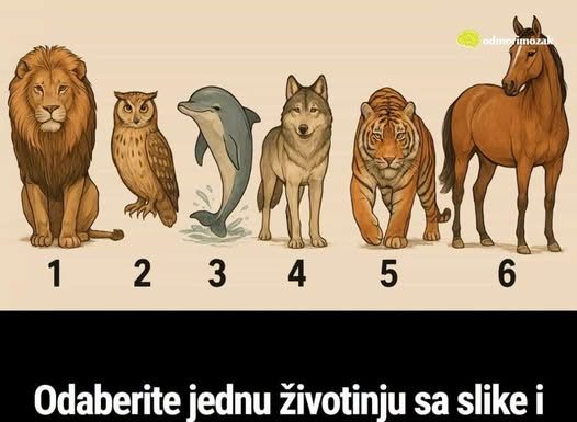 Odaberite jednu životinju sa slike i otkrijte šta drugi misle kad se spomene vaše ime