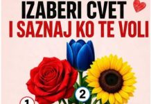 Koji cvet biraš? Pogledajte prvi komentar da vidite ko te voli