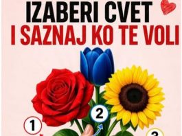 Koji cvet biraš? Pogledajte prvi komentar da vidite ko te voli