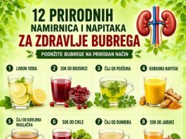 12 prirodnih namirnica i pića za prirodnu podršku zdravlju bubrega …!