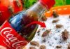 SMRDIBUBE bježe kao lude od Coca Cole! Nećete vjerovati