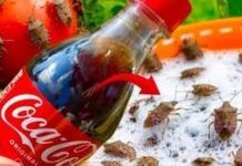 SMRDIBUBE bježe kao lude od Coca Cole! Nećete vjerovati