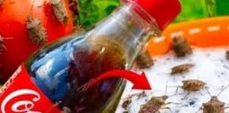SMRDIBUBE bježe kao lude od Coca Cole! Nećete vjerovati
