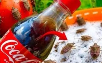 SMRDIBUBE bježe kao lude od Coca Cole! Nećete vjerovati