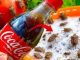 SMRDIBUBE bježe kao lude od Coca Cole! Nećete vjerovati