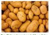 Ova dijeta sa krompirom je hit u svijetu: Za tri dana i do pet kilograma manje!