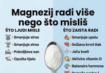 MAGNEZIJ RADI VIŠE NEGO ŠTO MISLIŠ