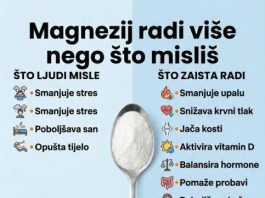 MAGNEZIJ RADI VIŠE NEGO ŠTO MISLIŠ