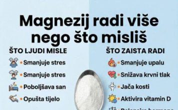 MAGNEZIJ RADI VIŠE NEGO ŠTO MISLIŠ