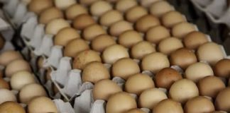 Evo zašto leti treba da okrenete jaja naopako u frižideru! Svaka iskusna domaćica ovo zna, to menja sve
