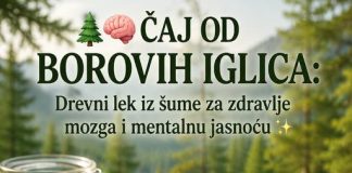 Čaj od borovih iglica: Tradicionalni biljni napitak za mentalnu jasnoću i blagostanje