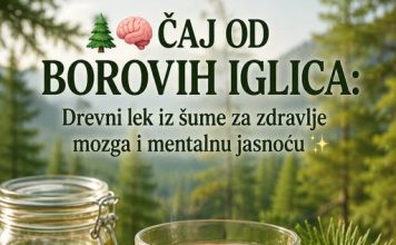 Čaj od borovih iglica: Tradicionalni biljni napitak za mentalnu jasnoću i blagostanje